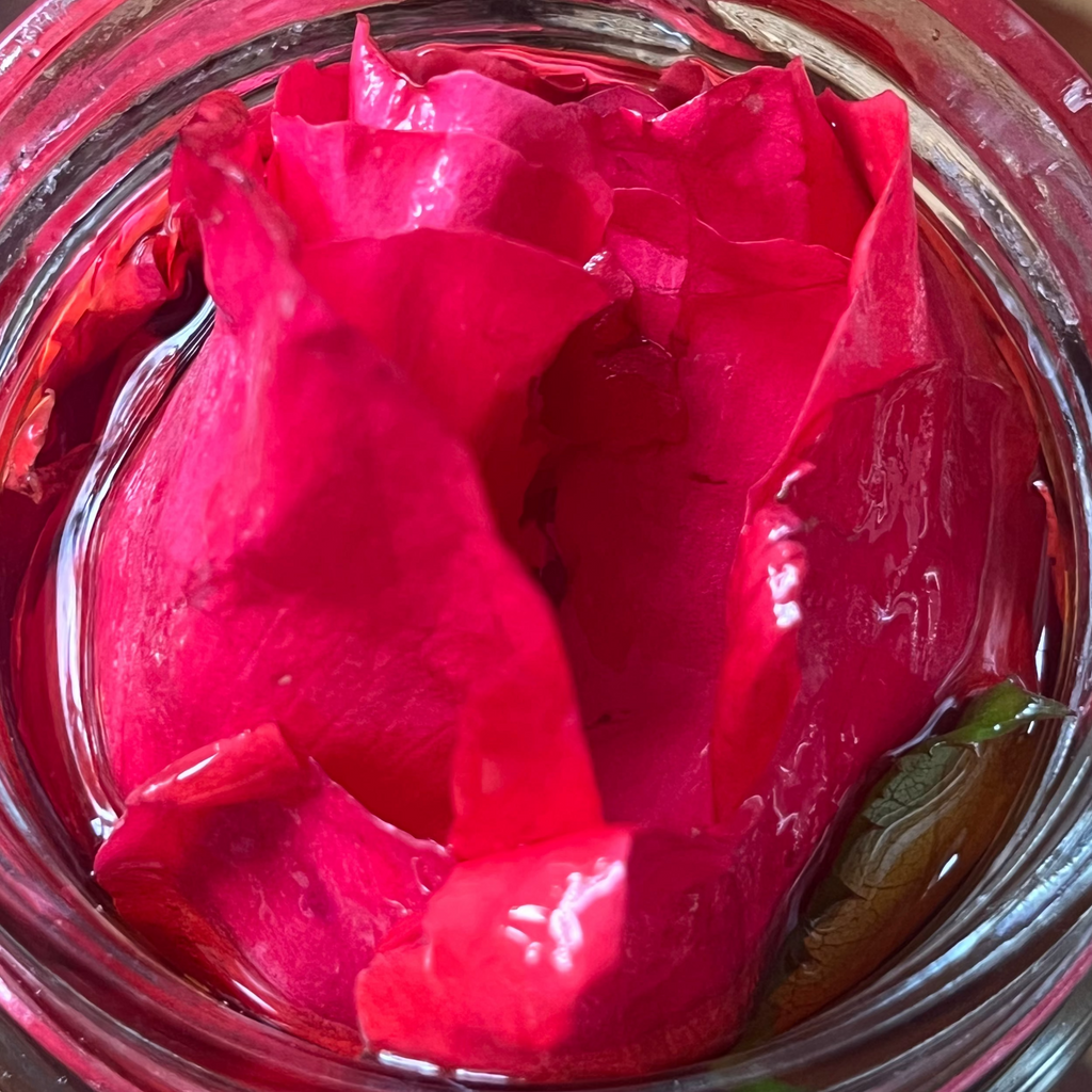 Rose Tincture With 100% Rose - Rosa Damascena