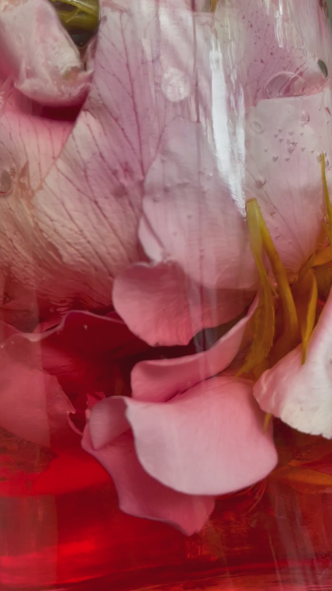 100% Rose Tincture Rose - Rosa Damascena