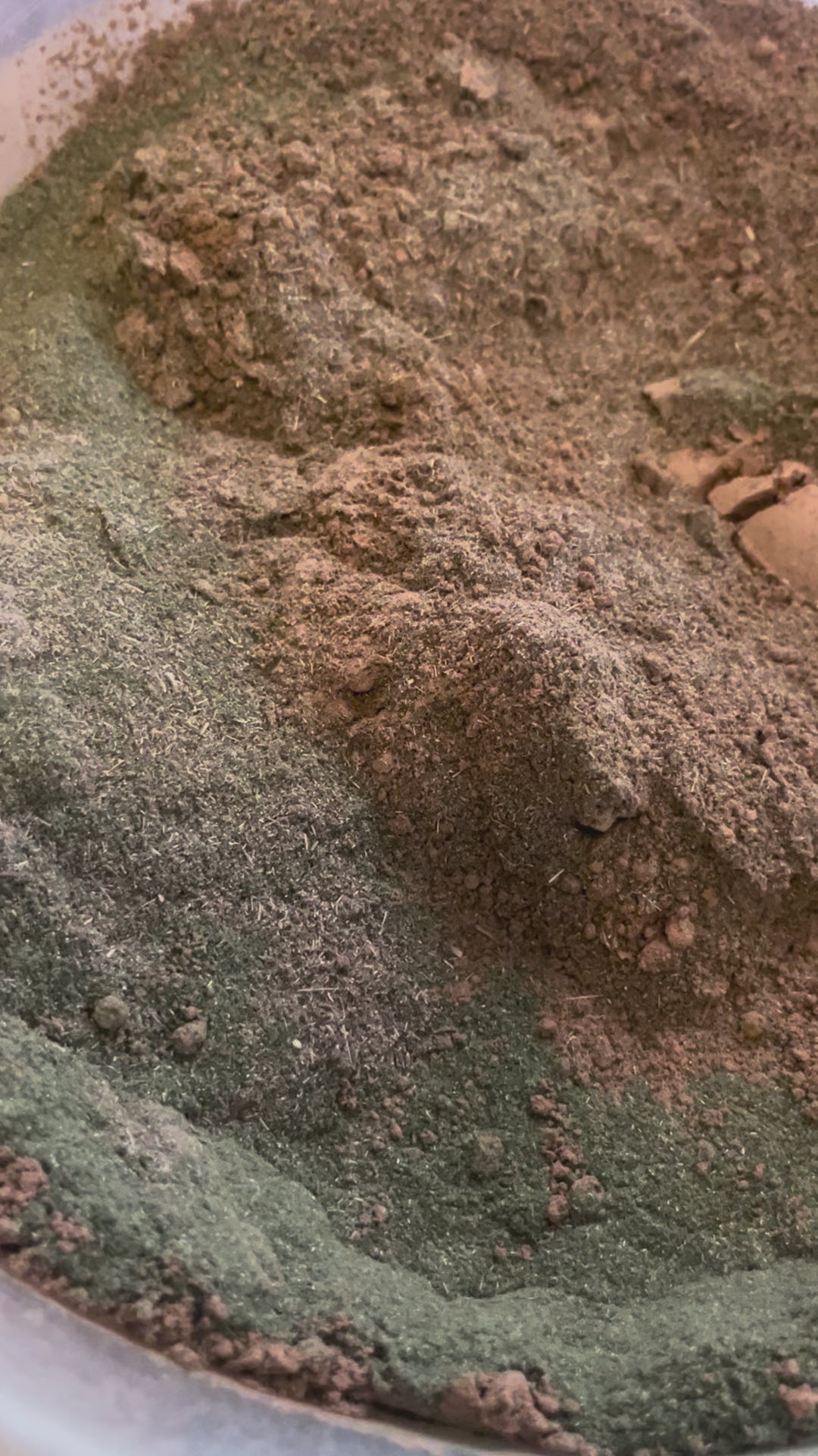 Earth Womb Latte Blend - Mugwort, Nettle, Reishi