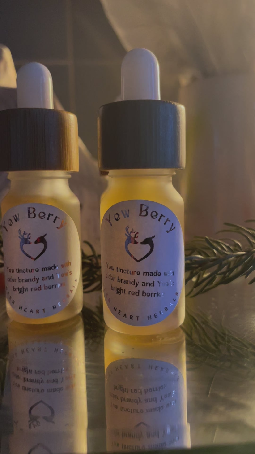 Yew Berry Tincture - Taxus Baccata
